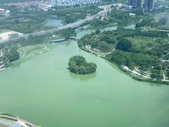 -嘉定凯悦·咖啡厅