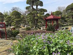 -武汉紫薇都市田园