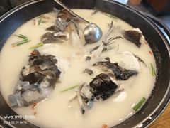 -丰乐餐厅·始于1999(千岛湖店)