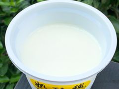 原味双皮奶-奶酪魏(牛街总店)