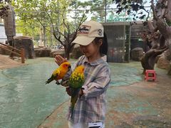 -西霞口神雕山野生动物世界