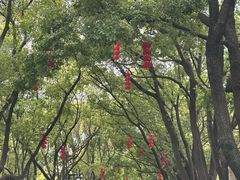 -凤城河风景区