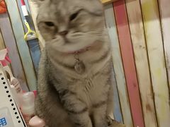 -小时光咖啡馆(开森度假森林店)