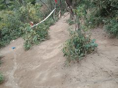 -白马涧龙池景区