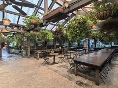 -The Grounds of Alexandria