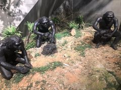 -北京周口店北京人遗址博物馆