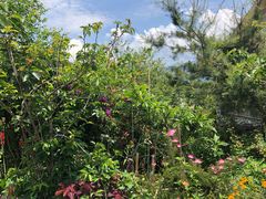 -优游吧斯邹族文化部落