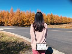 -塞罕坝国家级自然保护区