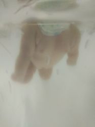 -子木乐园婴儿游泳馆(水晶港店)