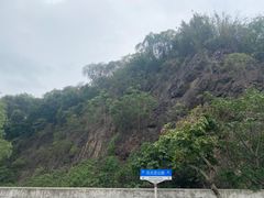 -上海佘山国家森林公园天马山园