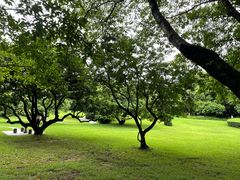 -荔香公园