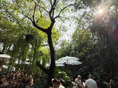-Fern Forest Cafe