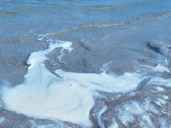 -平湖九龙山旅游度假区