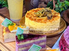 -倾城密码(大唐店)