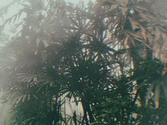 -仁爱团泊湖温泉中心