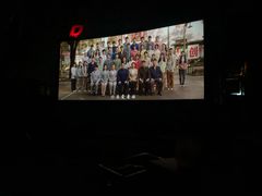 -枫花园汽车电影院(朝阳公园店)