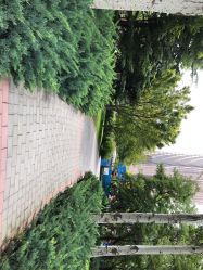 -大望京儿童游乐场