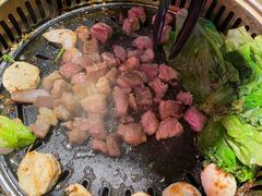 -杨记齐齐哈尔烤肉(五莲路店)