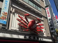 -蟹道乐(道顿堀本店)