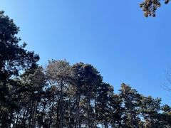 -沈阳森林动物园