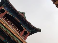-天津大悲禅院