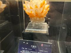 -中华赏石园