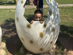 -西部长青自然儿童乐园