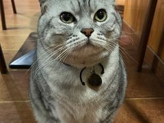 -H立方实景剧情密室(天河旗舰店)