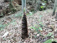 -中国茶叶博物馆(双峰馆区)