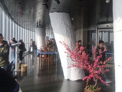 -上海中心大厦