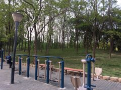 -大望京公园