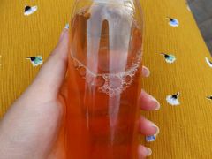 -刘红杏·杏皮水店(月牙泉小镇店)