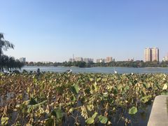 -大明湖海底世界