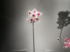 -上海当代艺术博物馆
