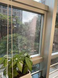 -初心はつ こころ日式美甲美睫沙龙