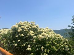 -妙峰山风景名胜区