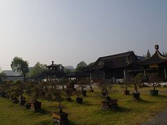 -盆景园(扬州大运河文化旅游度假区)