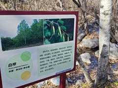 -玉渡山自然风景区