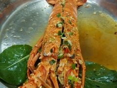-金勺子原汤椰子鸡