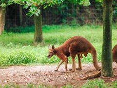 -杭州野生动物世界