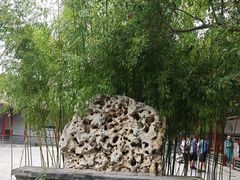 -莲池书院博物馆