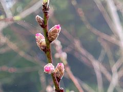 -萍乡武功山风景名胜区