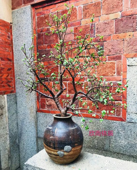 大厝宅海鲜馆景观位图片