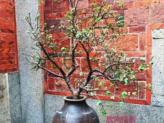 景观位-大厝宅海鲜馆