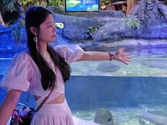 -左海海底世界