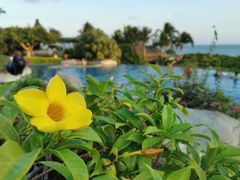 -三亚亚龙湾天域度假酒店