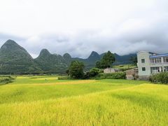 -万峰林风景区