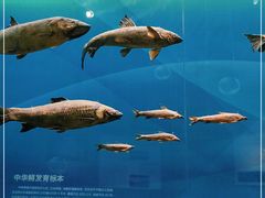 -重庆自然博物馆(新馆)