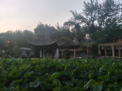 -老白家怡贵园烤肉