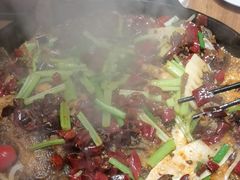 -老板恋上鱼(恒隆广场店)